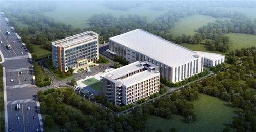 名雕产业园爆料视频大全,视频大全带你领略产业园区风采